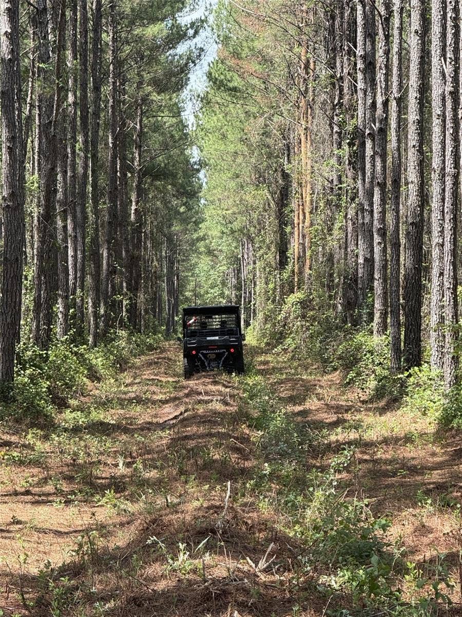 Property photo for NE 198TH AVE, Lake Butler, FL