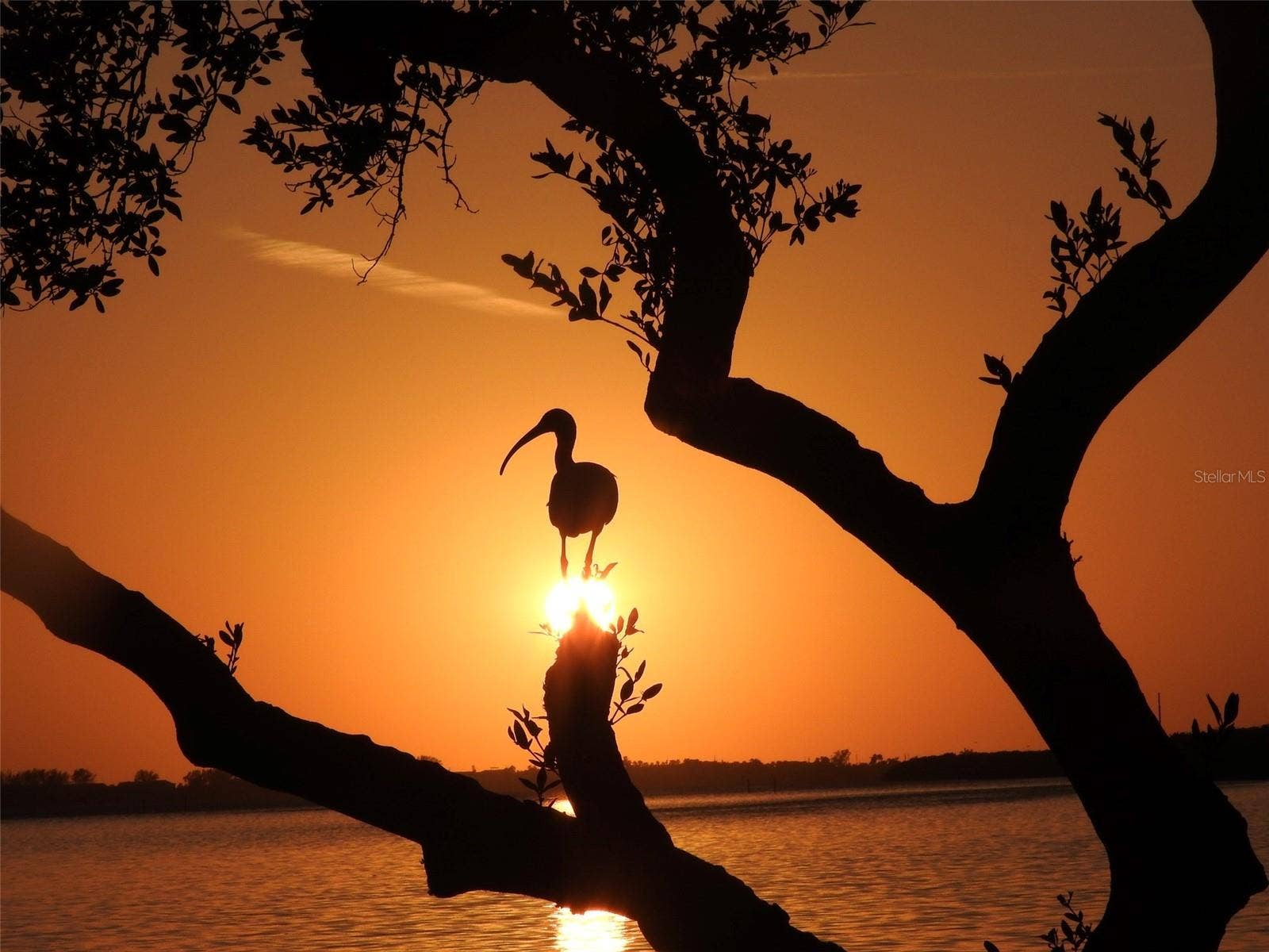9406 ANDOVER CIRCLE, Bradenton, FL 34210 Mt Vernon park sunset