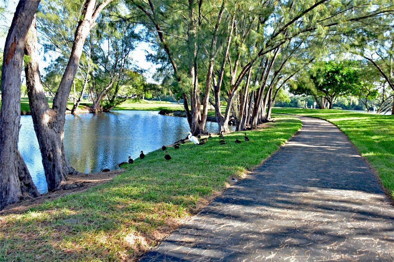 9406 ANDOVER CIRCLE, Bradenton, FL 34210 Mt Vernon park walking path and lake