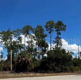 Property photo for 4105 E 10TH STREET, Lehigh Acres, FL