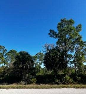 Property photo for 13526 SURIBACHI AVENUE, Port Charlotte, FL