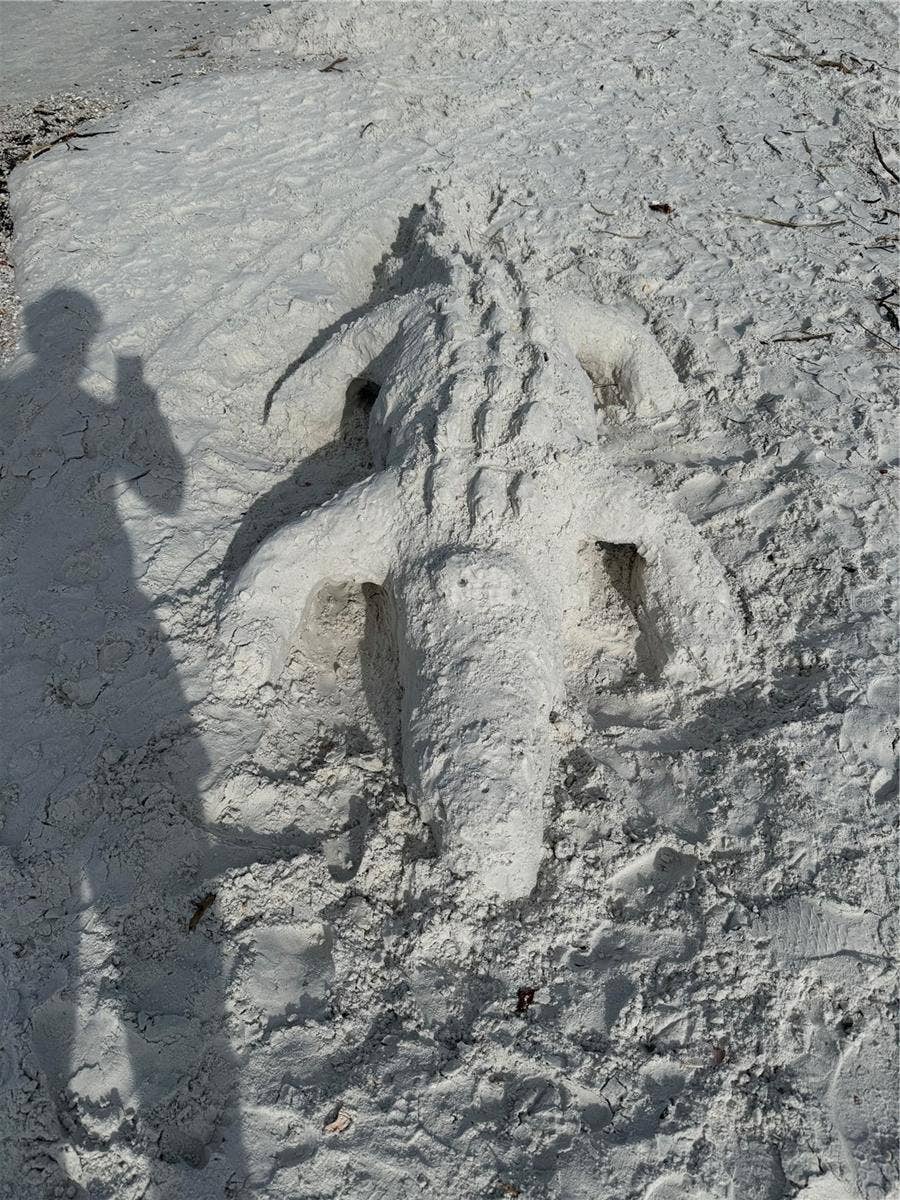 335 PARK TRACE BOULEVARD, Osprey, FL 34229 Siesta Sand Crafts