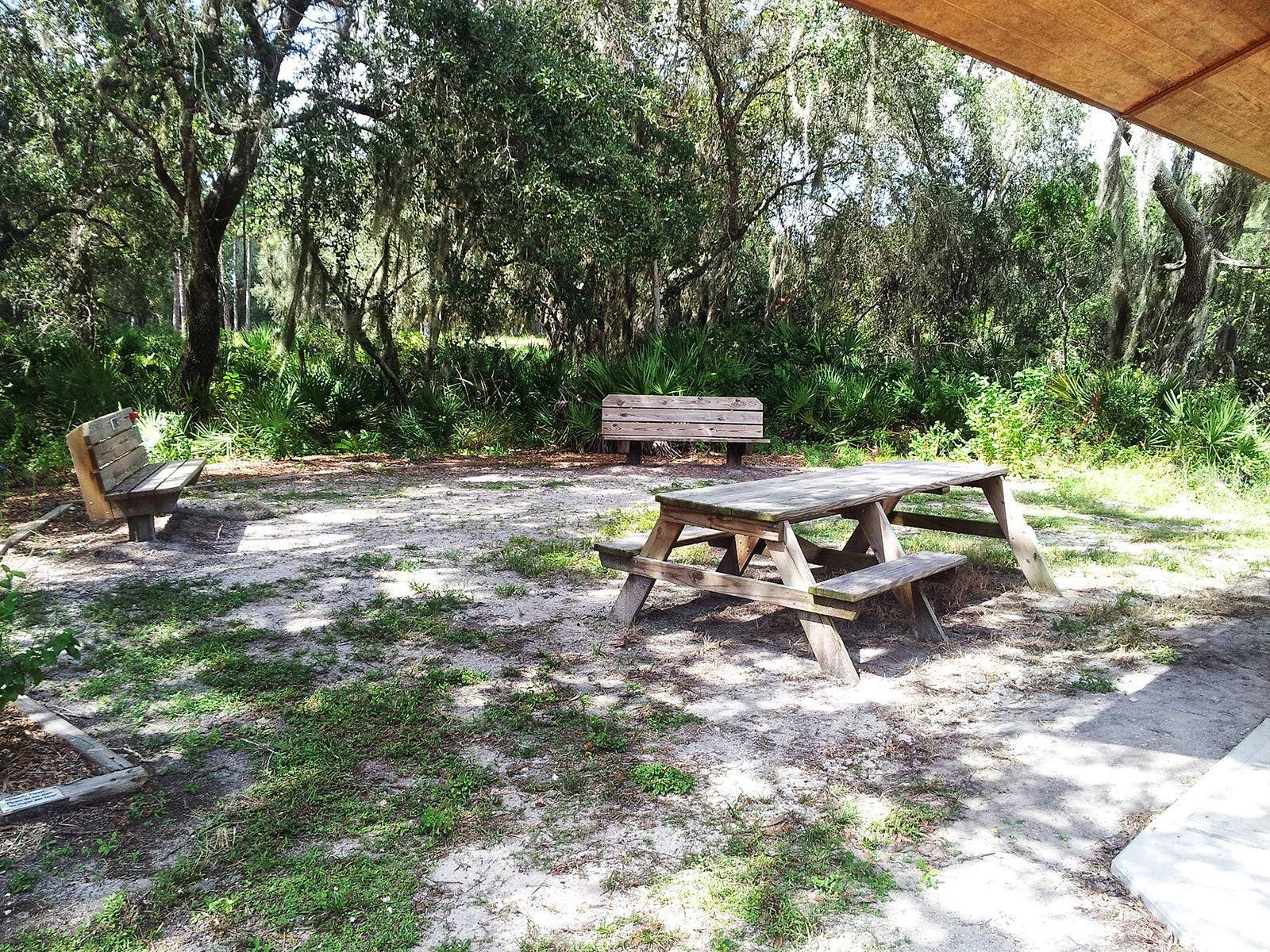 335 PARK TRACE BOULEVARD, Osprey, FL 34229 Lecacy Park