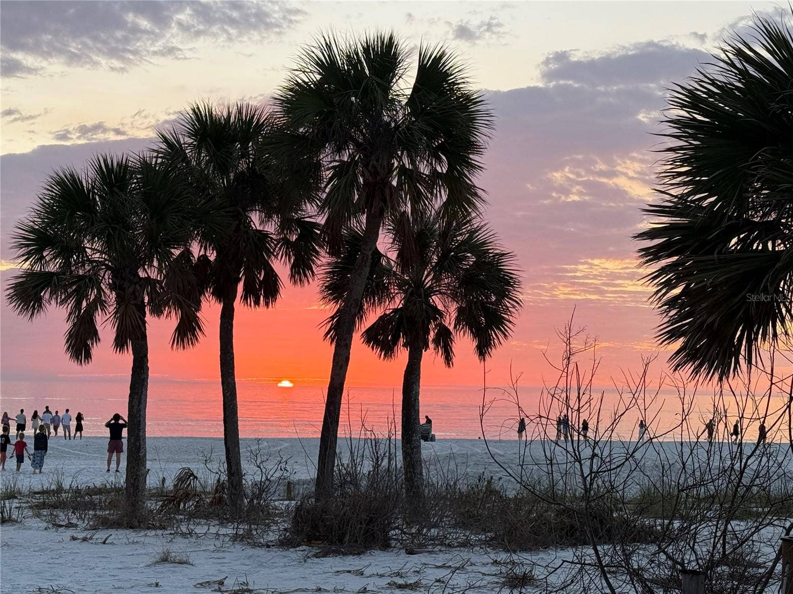 335 PARK TRACE BOULEVARD, Osprey, FL 34229 Siesta Sun Sets
