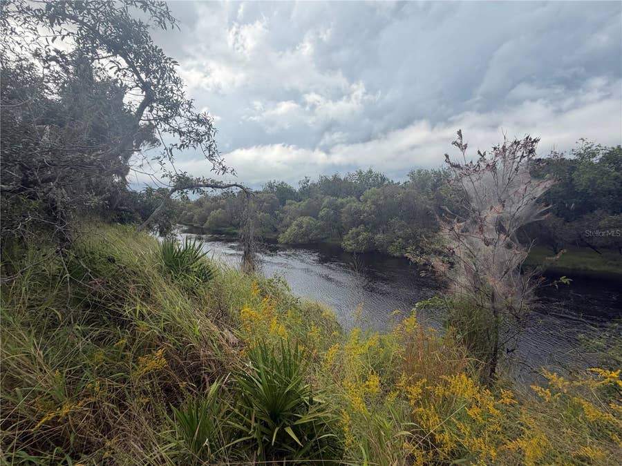 Property photo for 1234 NW PEACE POINTE DRIVE, Arcadia, FL