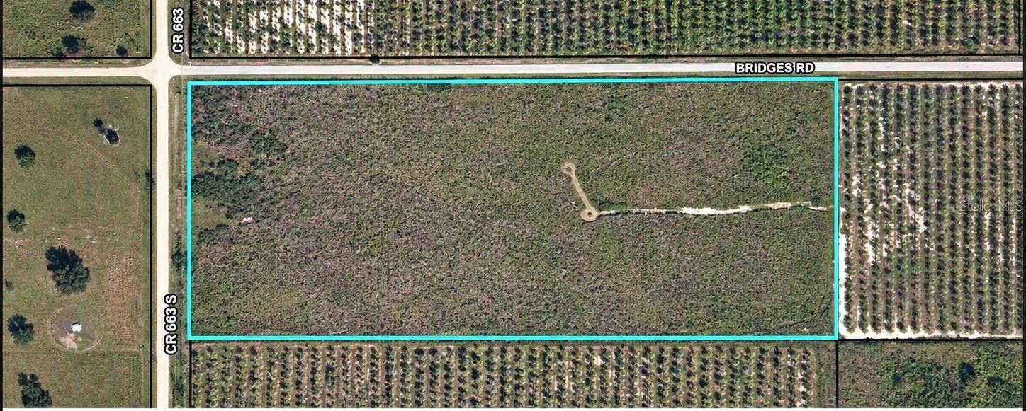 0 BRIDGES ROAD, Ona, FL 33865 0 BRIDGES ROAD, Ona, FL 33865