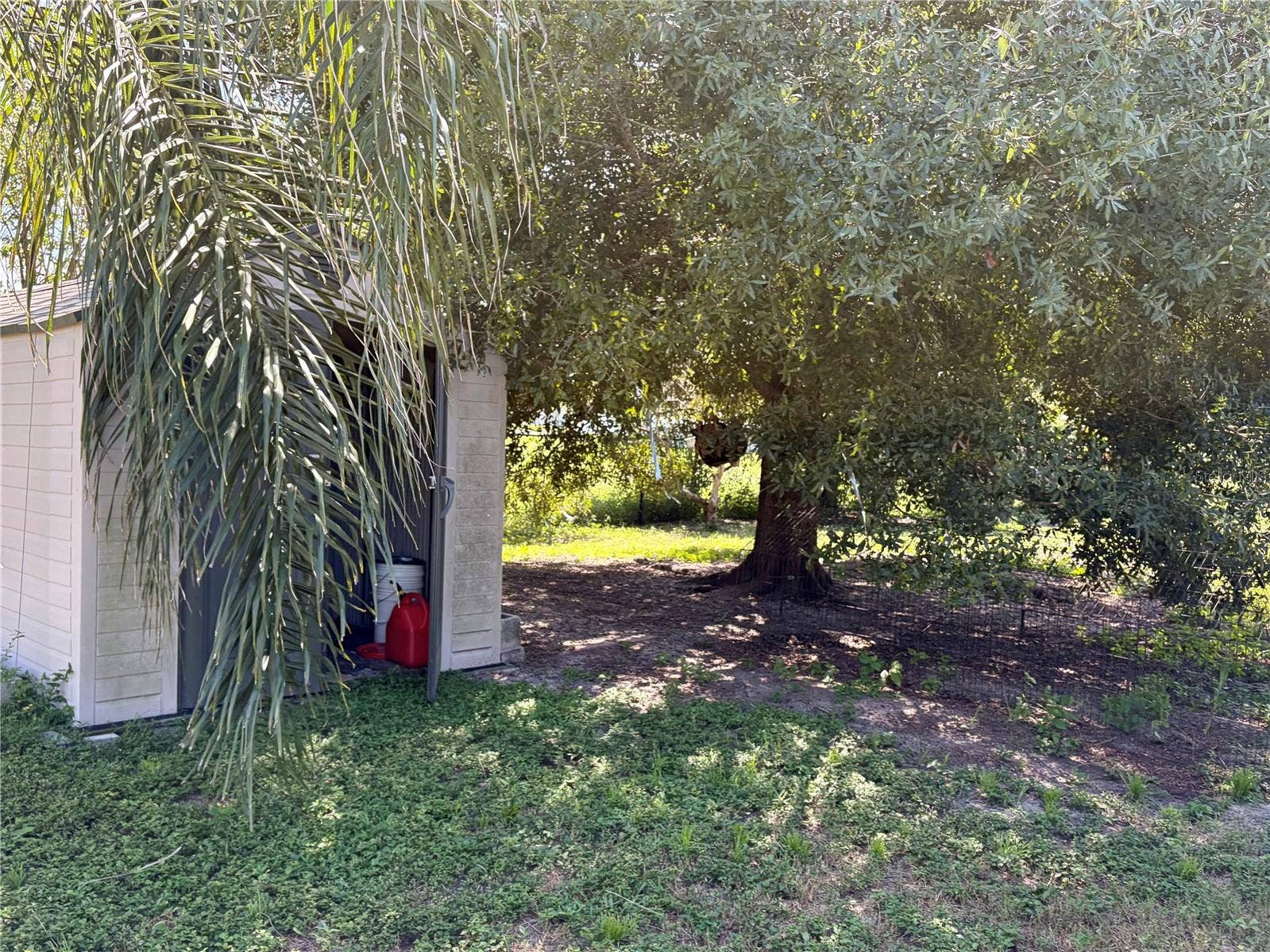 Storage Shed in Rear