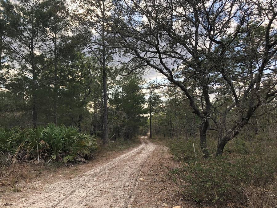 Property photo for 6000 W CEDAR HILL STREET, Dunnellon, FL
