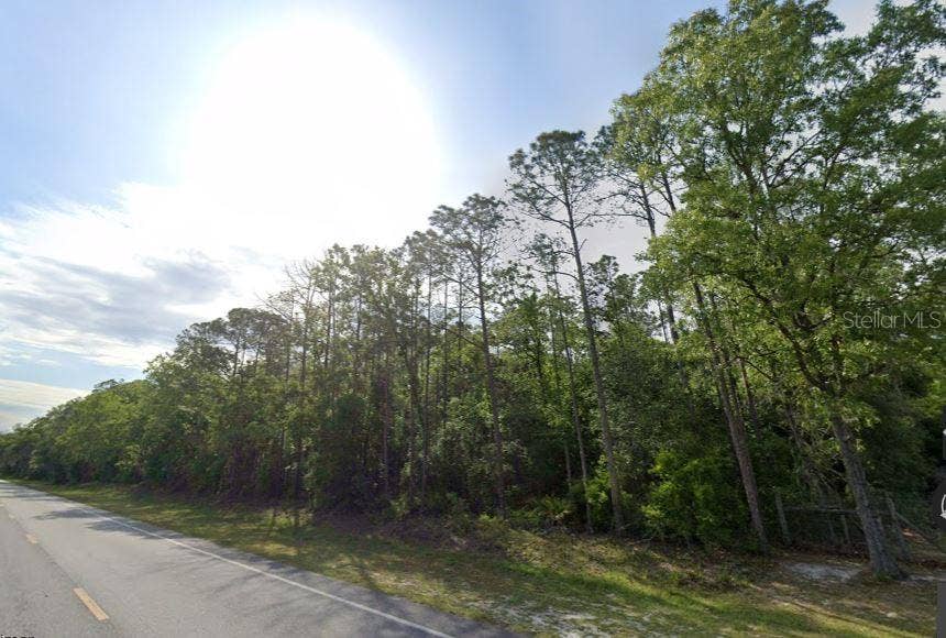 Property photo for NE HWY 351, Old Town, FL
