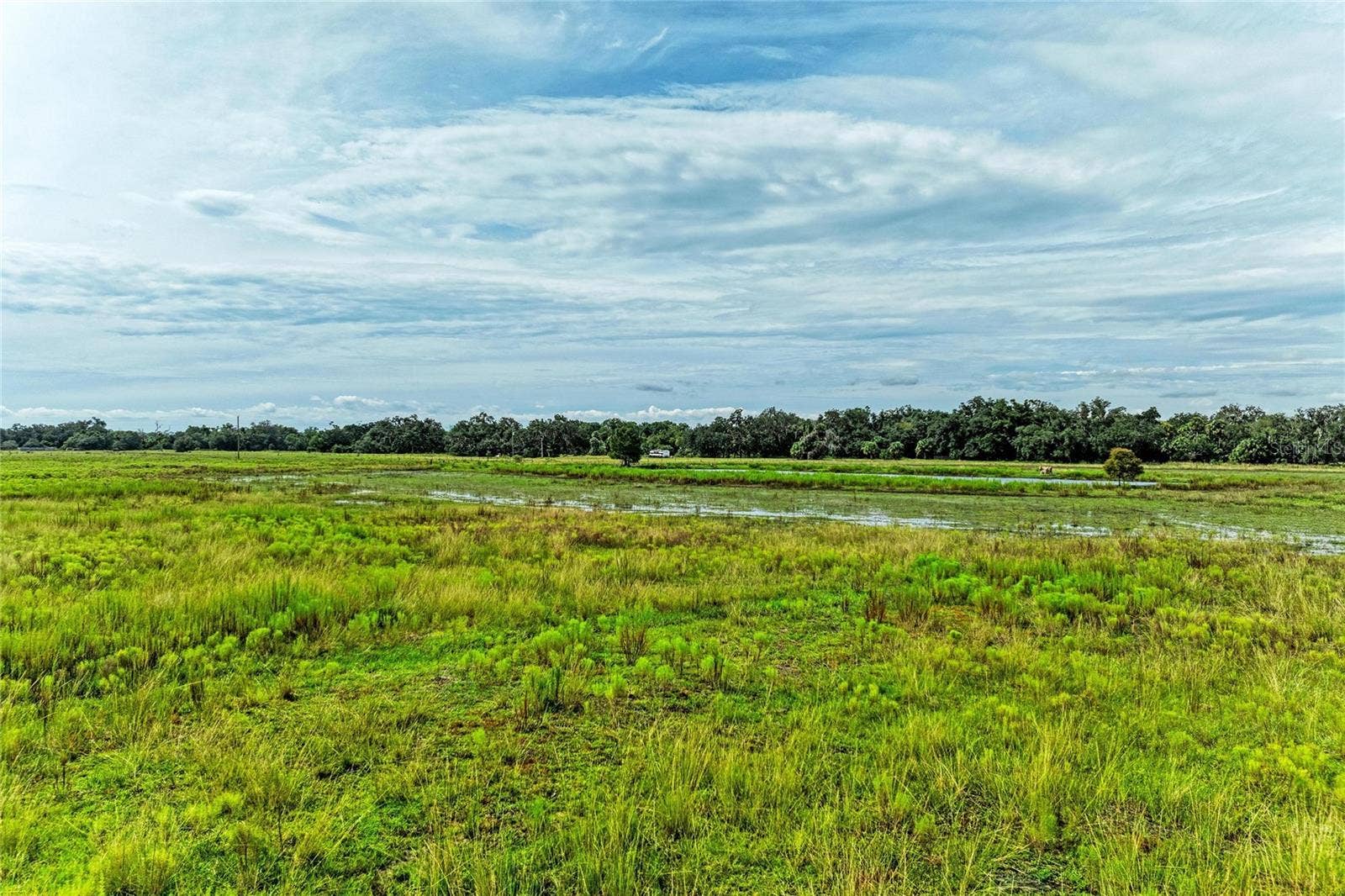 COKER GULLY ROAD, Myakka City, FL 34251