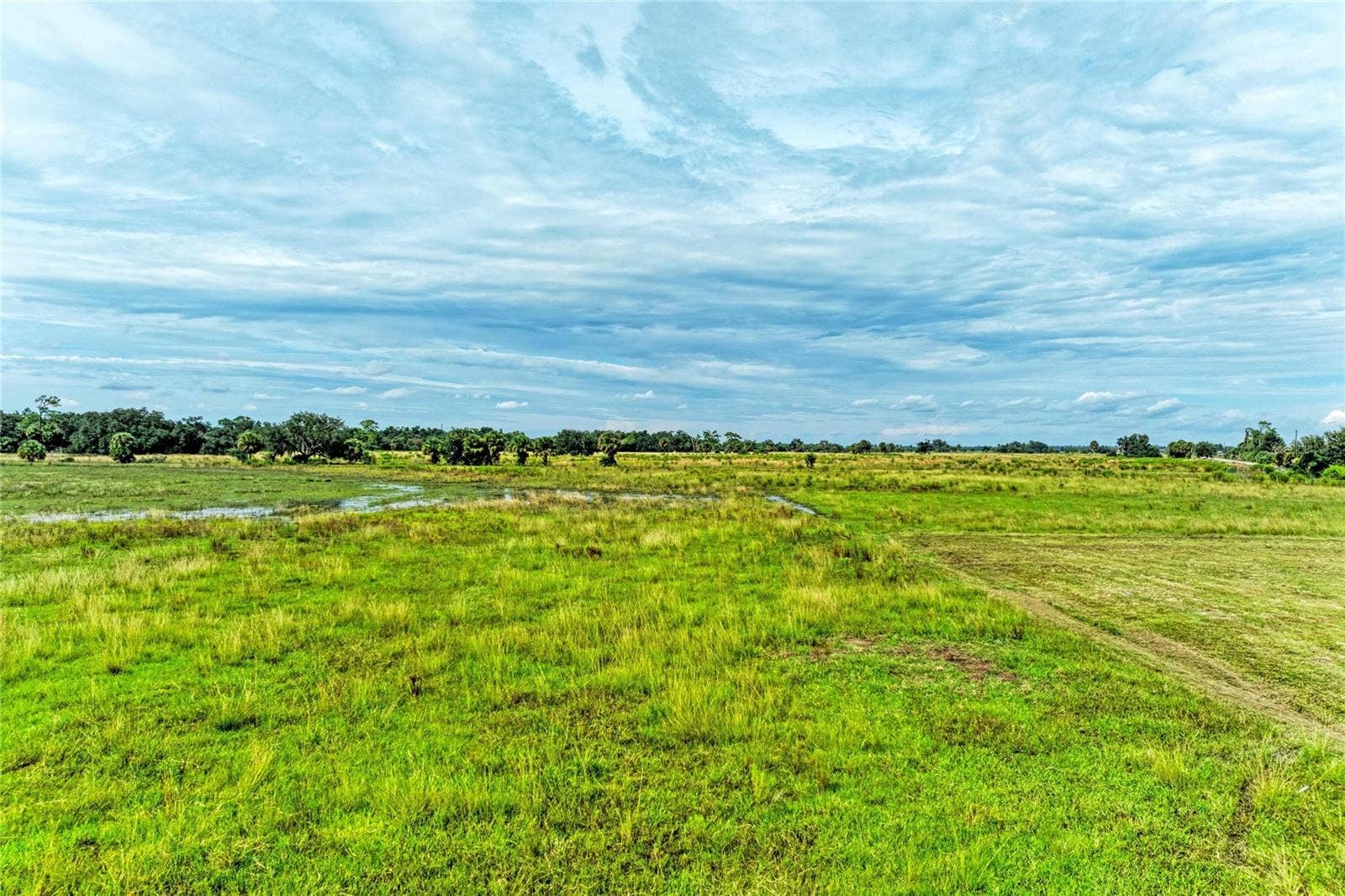 COKER GULLY ROAD, Myakka City, FL 34251