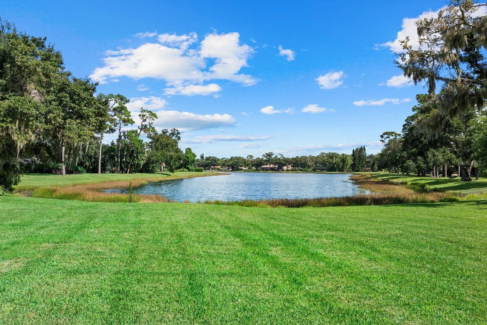 7303 WEEPING WILLOW DRIVE, Sarasota, FL 34241 7303 WEEPING WILLOW DRIVE, Sarasota, FL 34241
