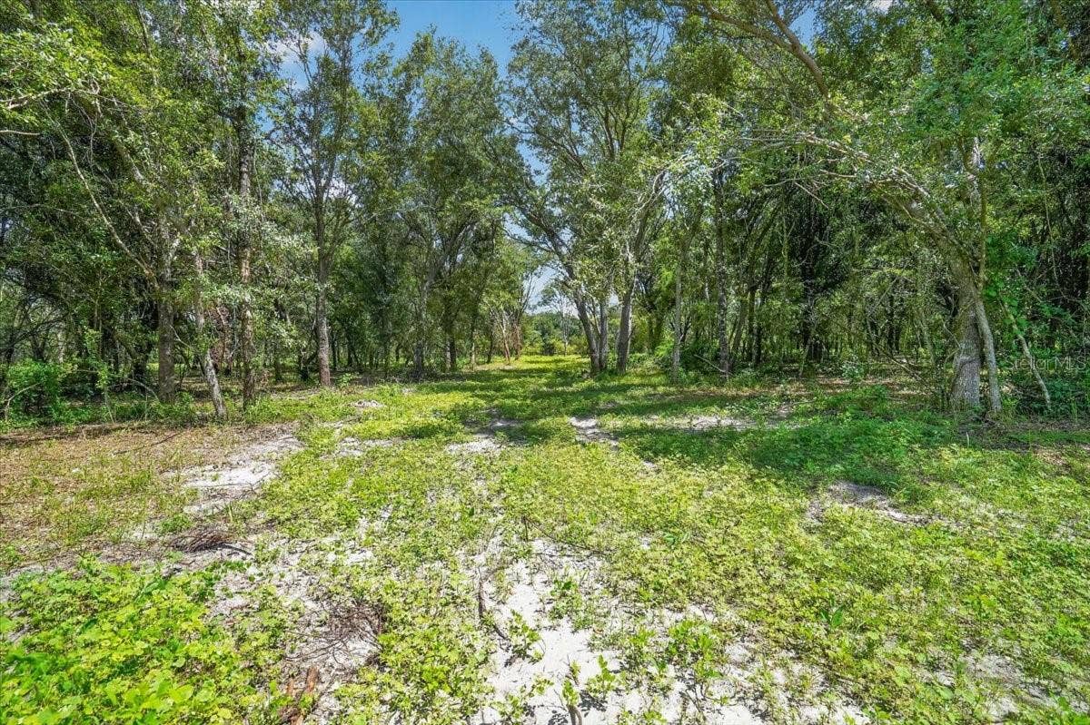4415 VERNA BETHANY ROAD, Myakka City, FL 34251