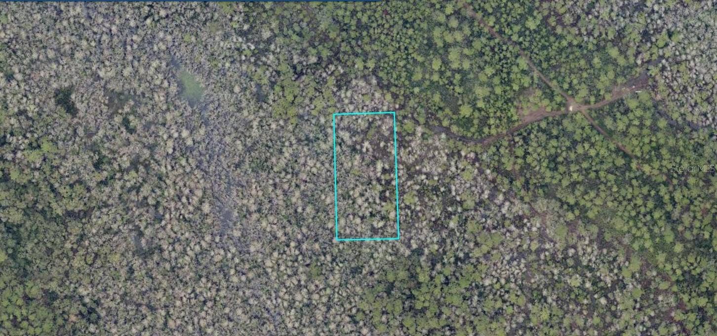 7130-02-99-0030 NO STREET, Lake Helen, FL 32744 7130-02-99-0030 NO STREET, Lake Helen, FL 32744