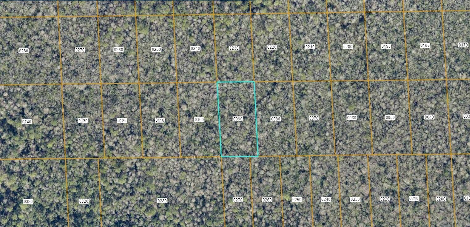7106-01-15-0090 NO STREET, Deland, FL 32724