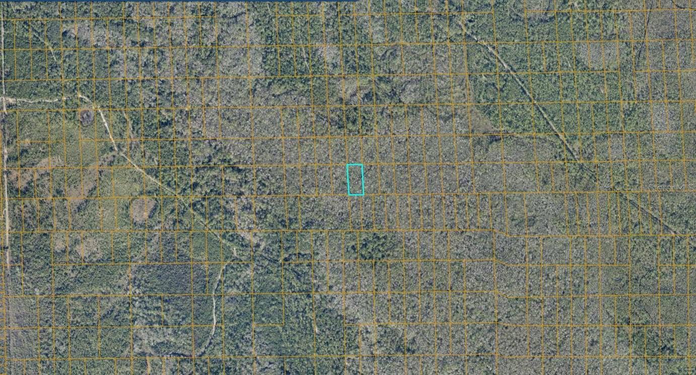 7106-01-15-0090 NO STREET, Deland, FL 32724