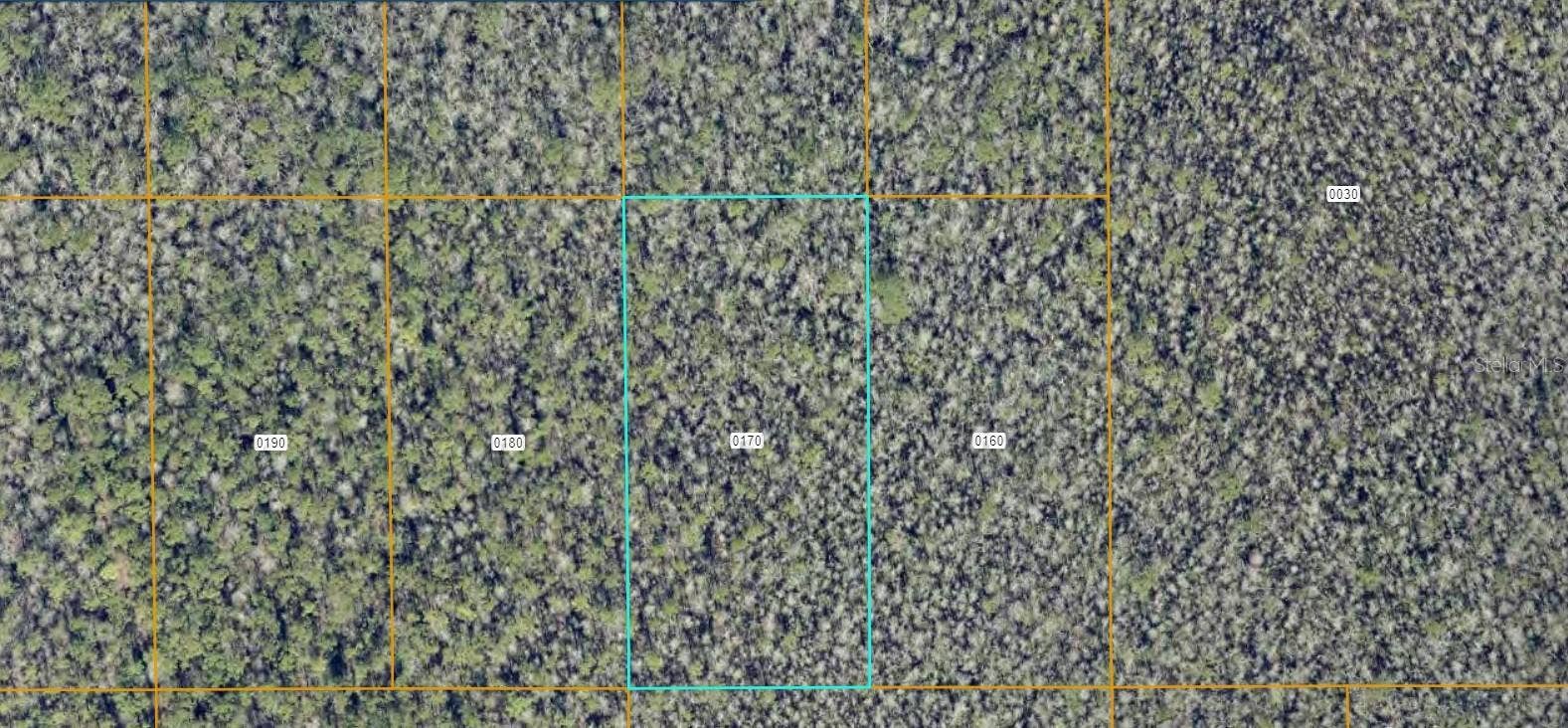 7108-01-03-0170 NO STREET, Deland, FL 32724 7108-01-03-0170 NO STREET, Deland, FL 32724