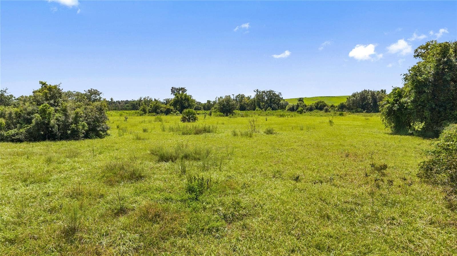 2940 SW DISHONG AVENUE, Arcadia, FL 34266 2940 SW DISHONG AVENUE, Arcadia, FL 34266