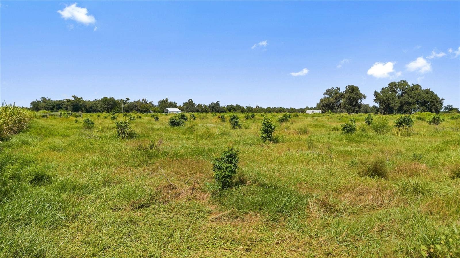 2940 SW DISHONG AVENUE, Arcadia, FL 34266 2940 SW DISHONG AVENUE, Arcadia, FL 34266