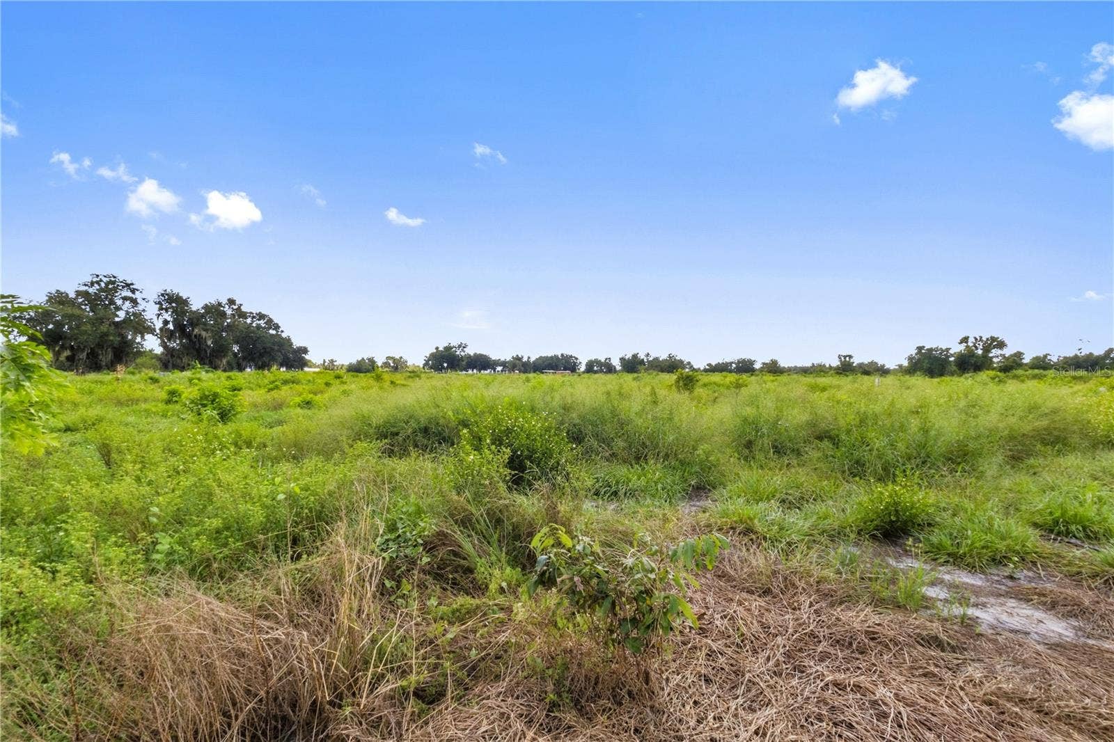 2940 SW DISHONG AVENUE, Arcadia, FL 34266 2940 SW DISHONG AVENUE, Arcadia, FL 34266
