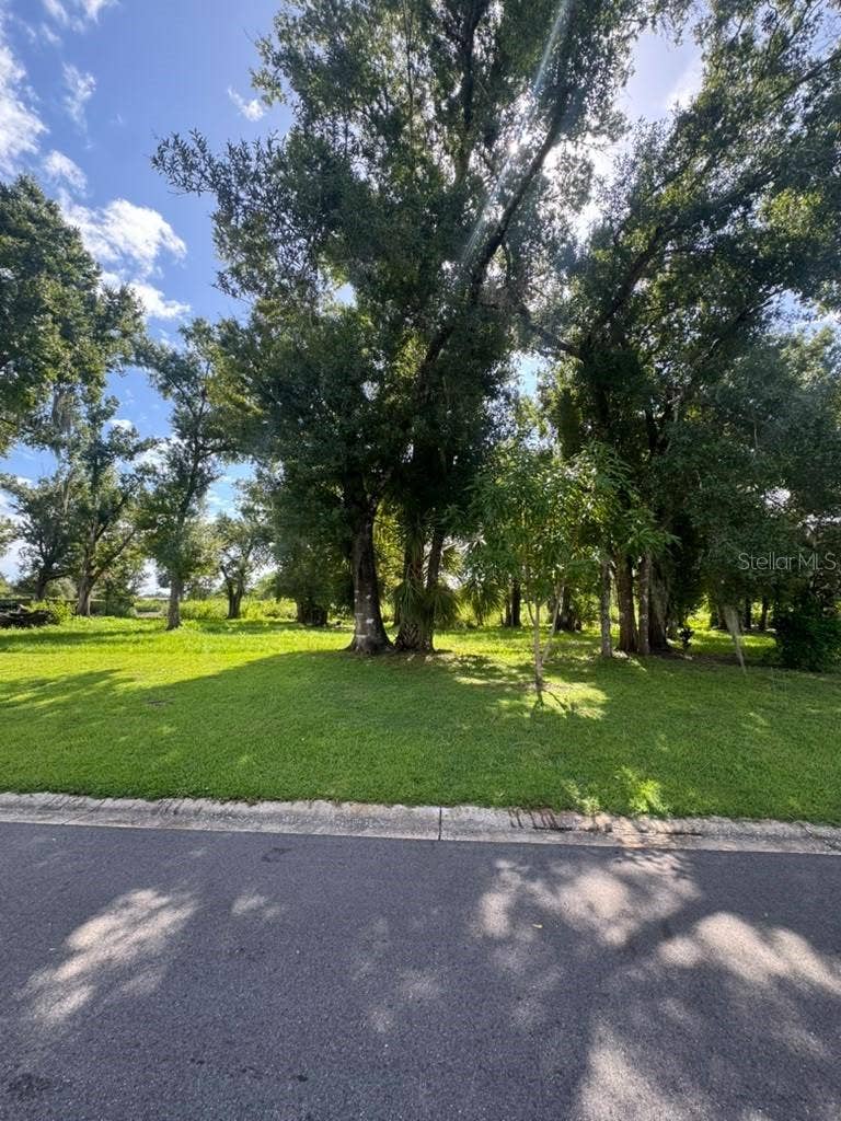 Property photo for 1163 SW MELODY DRIVE, Arcadia, FL