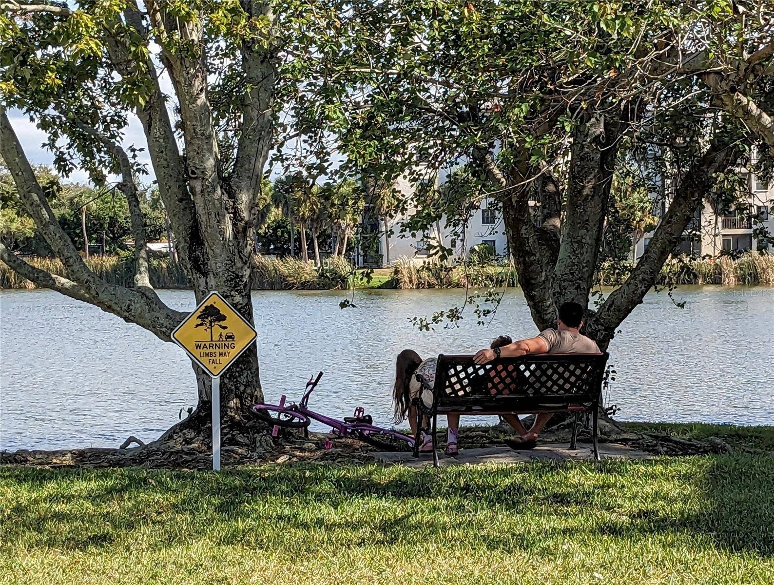 4133 HERON WAY, #E-202, Bradenton, FL 34205