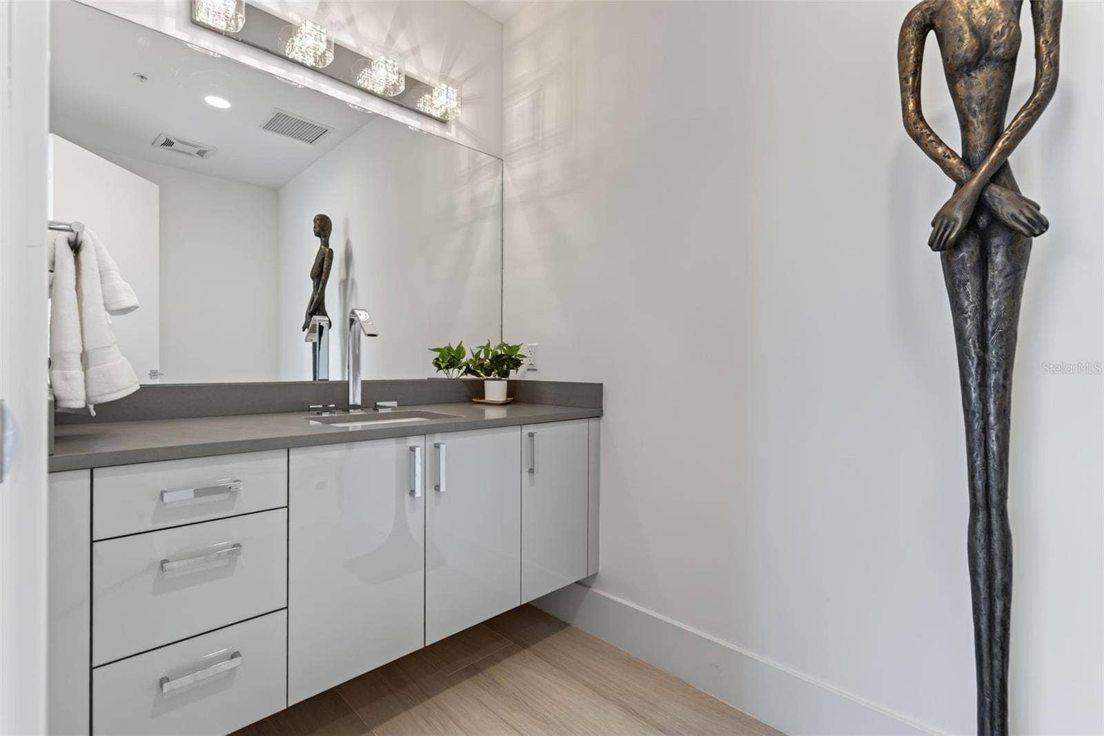 Guest Bath off Living Area