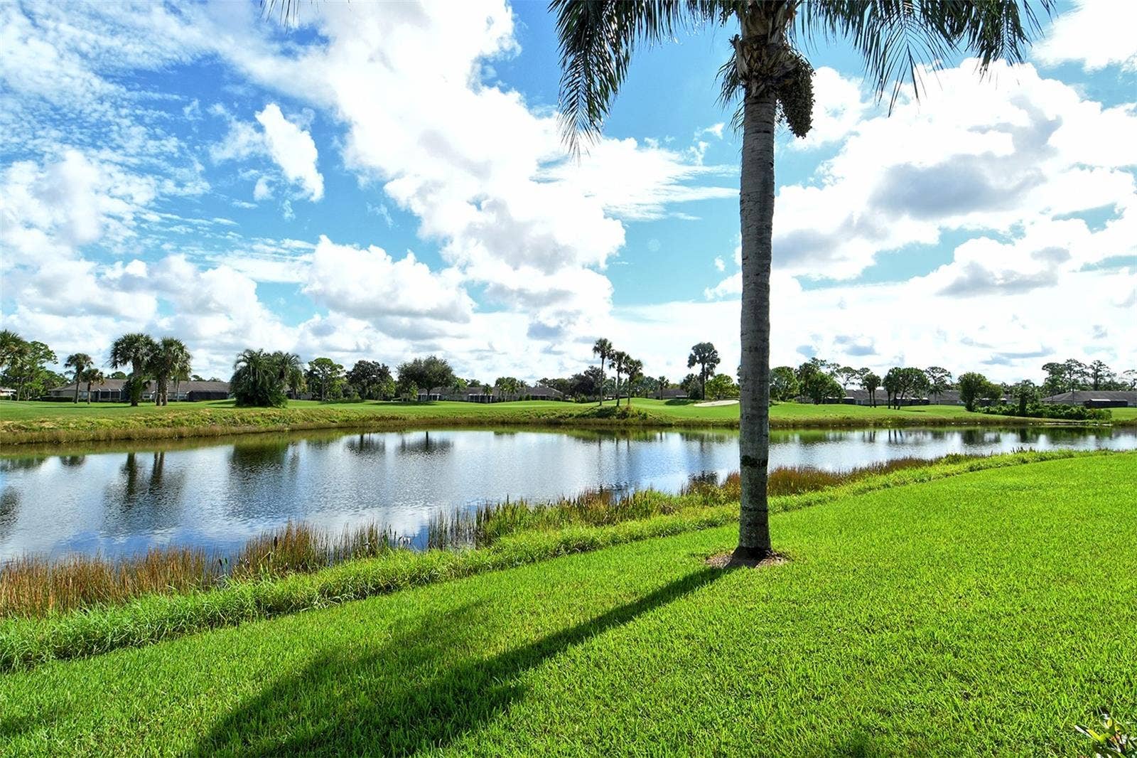 4951 CHASE OAKS DRIVE, Sarasota, FL 34241 View