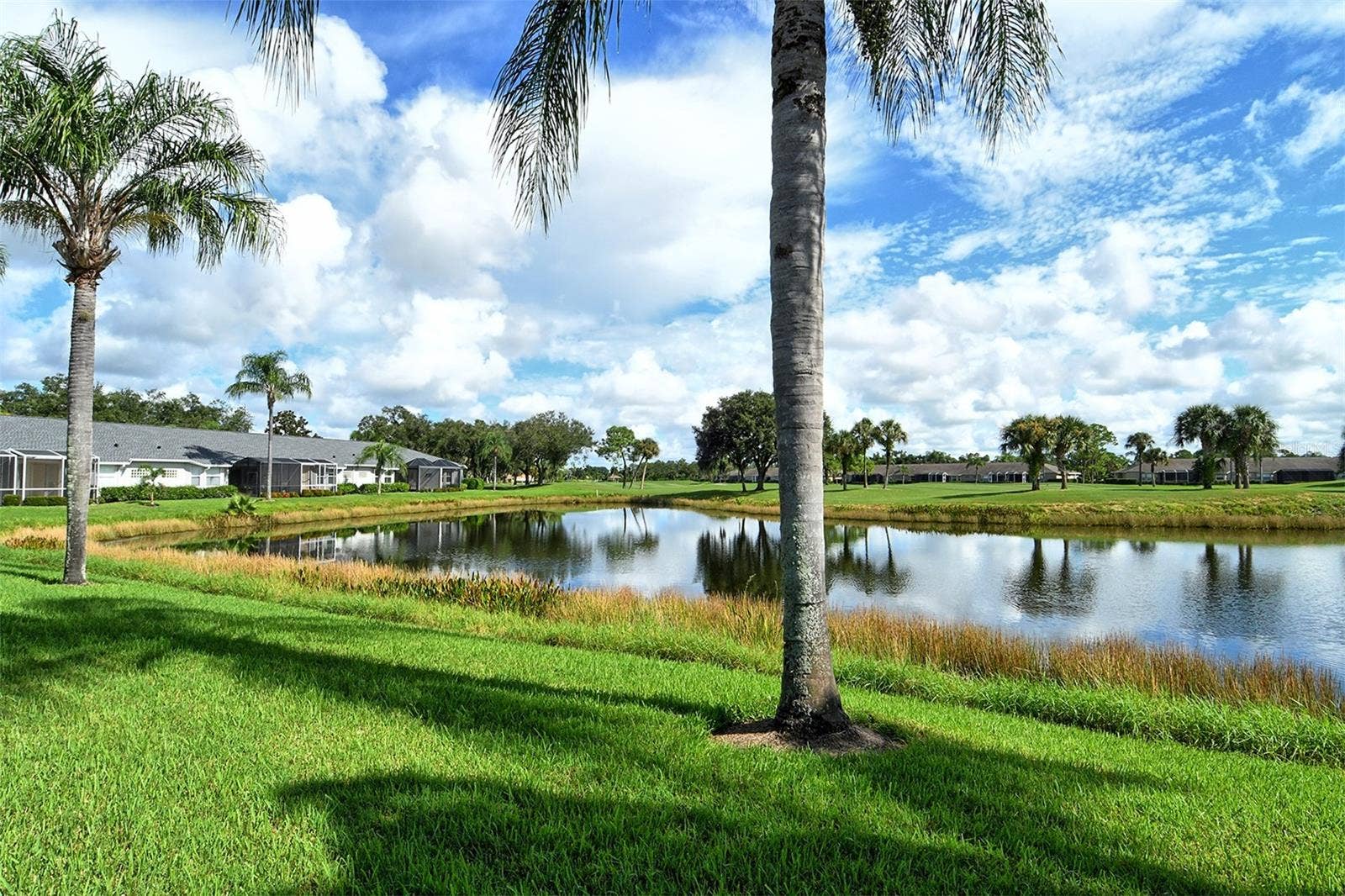 4951 CHASE OAKS DRIVE, Sarasota, FL 34241 View