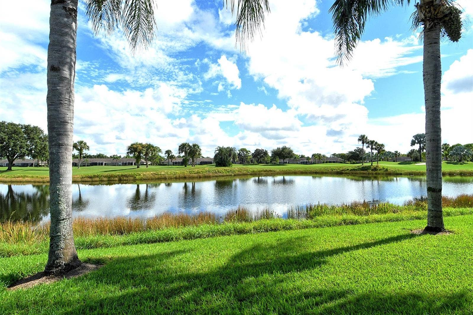 4951 CHASE OAKS DRIVE, Sarasota, FL 34241 View