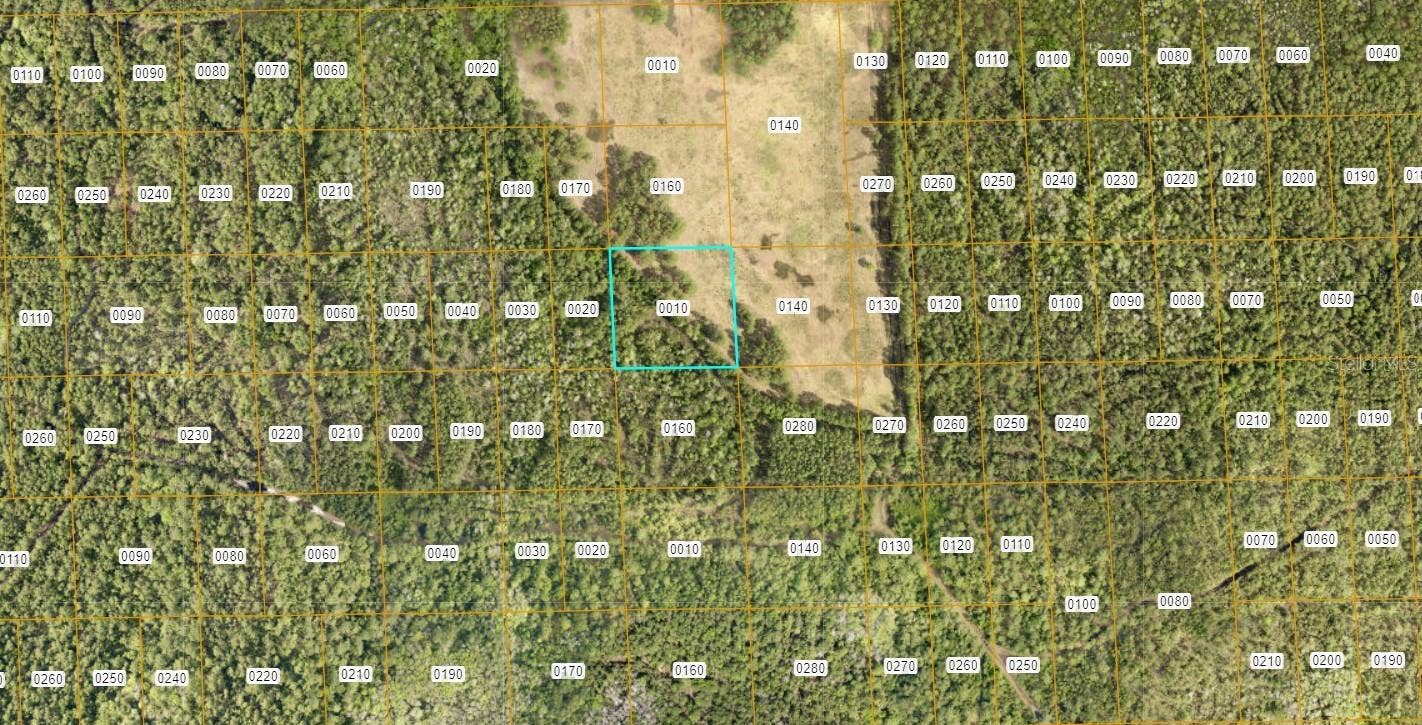 7106-01-04-0010 NO STREET, Deland, FL 32724 7106-01-04-0010 NO STREET, Deland, FL 32724