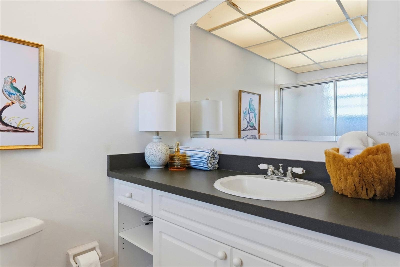 4506 3RD STREET CIRCLE W, #256, Bradenton, FL 34207 4506 3RD STREET CIRCLE W, #256, Bradenton, FL 34207
