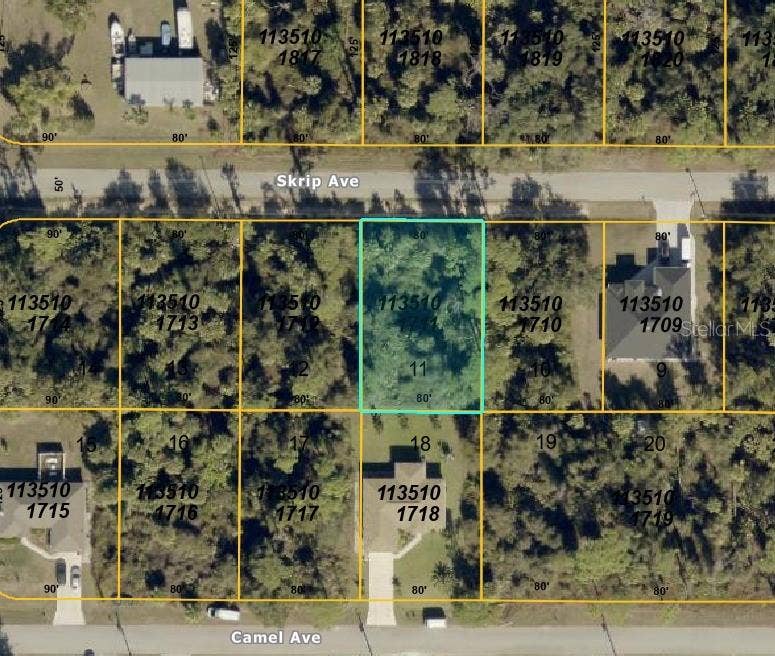 SKRIP AVENUE, North Port, FL 34288 Aerial view - lot outlined