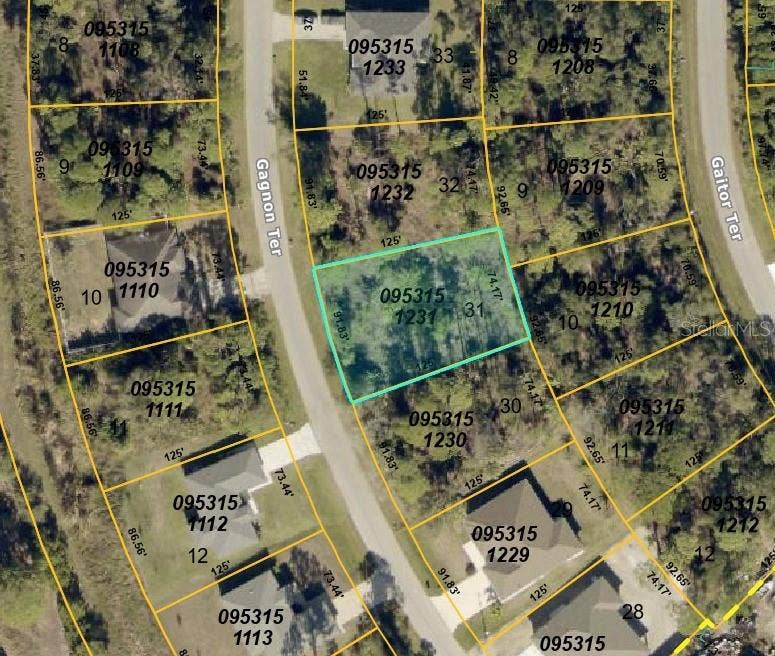 GAGNON TERRACE, North Port, FL 34291 Aerial view - lot outlined