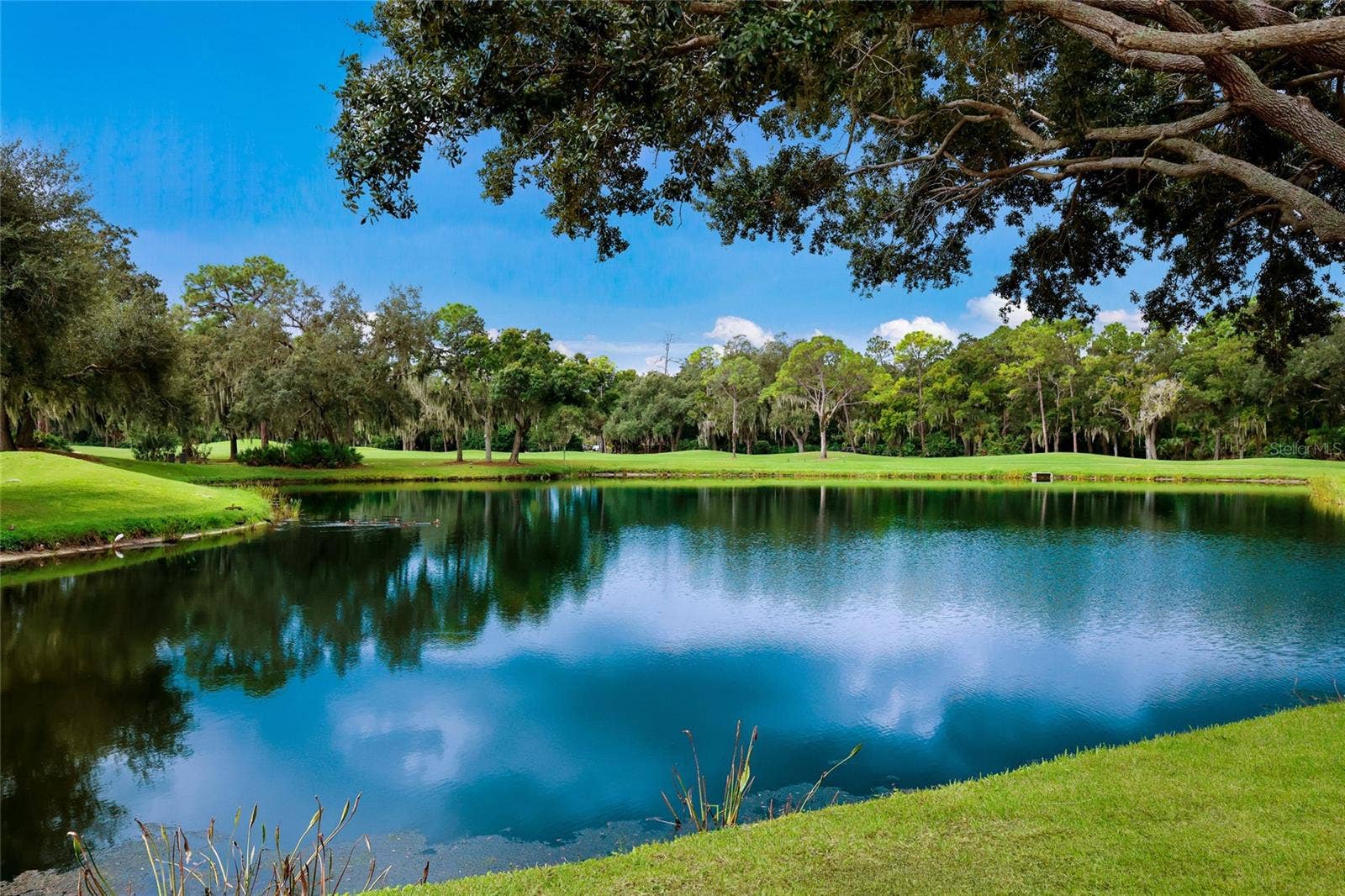 8728 52ND DRIVE E, Bradenton, FL 34211 8728 52ND DRIVE E, Bradenton, FL 34211