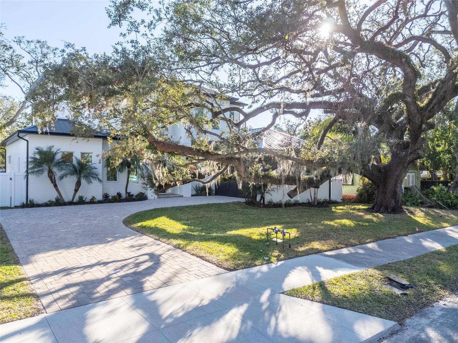 Beautiful Live Oak in the front yard, with an option to fence in the front yard.