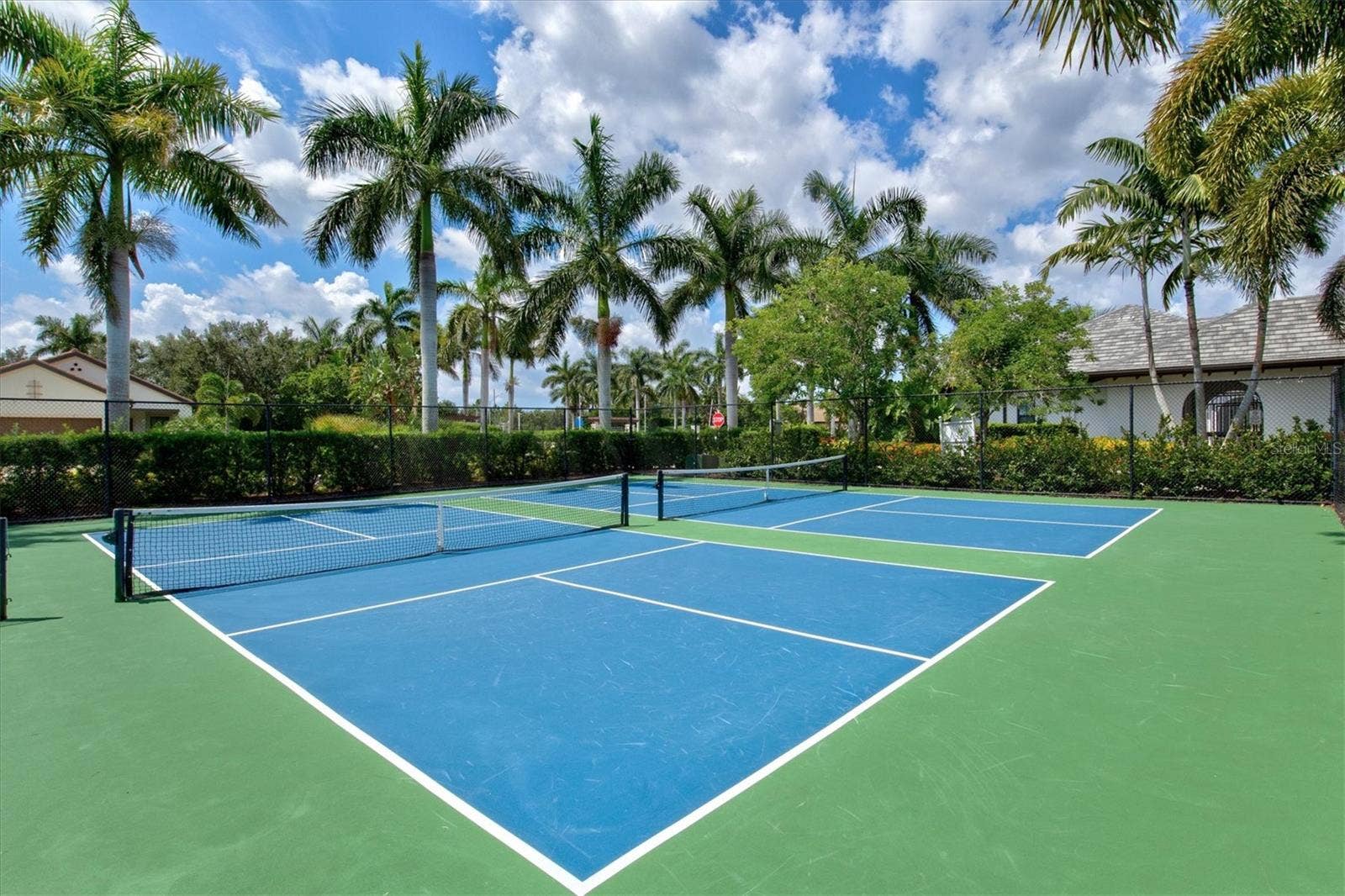 3031 SKY BLUE COVE, Bradenton, FL 34211 Pickleball courts