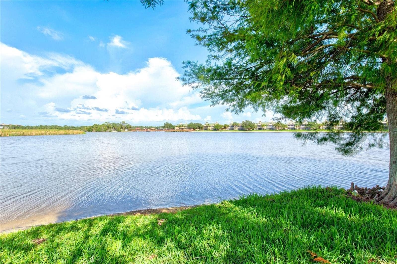 3031 SKY BLUE COVE, Bradenton, FL 34211 3031 SKY BLUE COVE, Bradenton, FL 34211