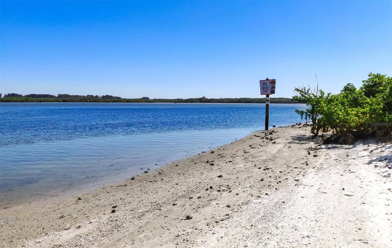 17216 SCUBA CREST STREET, Wimauma, FL 33598 17216 SCUBA CREST STREET, Wimauma, FL 33598