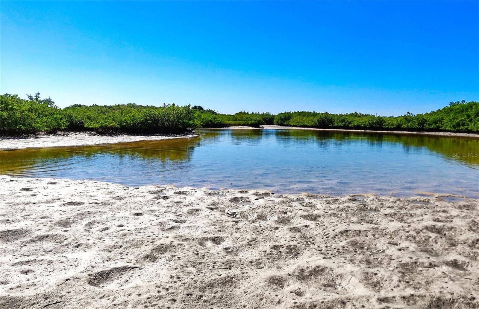 17216 SCUBA CREST STREET, Wimauma, FL 33598 17216 SCUBA CREST STREET, Wimauma, FL 33598