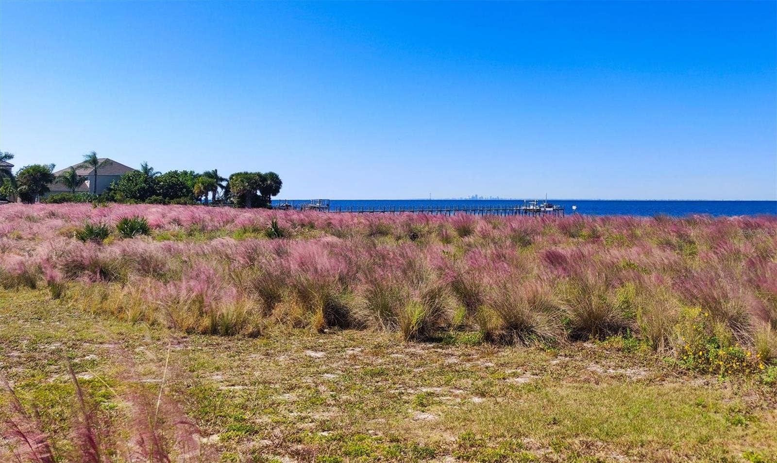 17216 SCUBA CREST STREET, Wimauma, FL 33598 17216 SCUBA CREST STREET, Wimauma, FL 33598