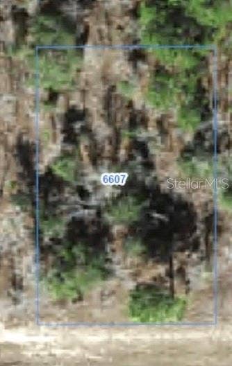 Property photo for 6607 N BEDSTROW BOULEVARD, Citrus Springs, FL