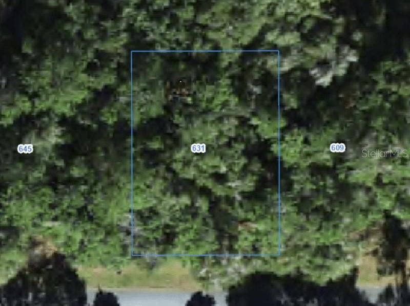 Property photo for 631 W GRAPEWOOD LANE, Citrus Springs, FL