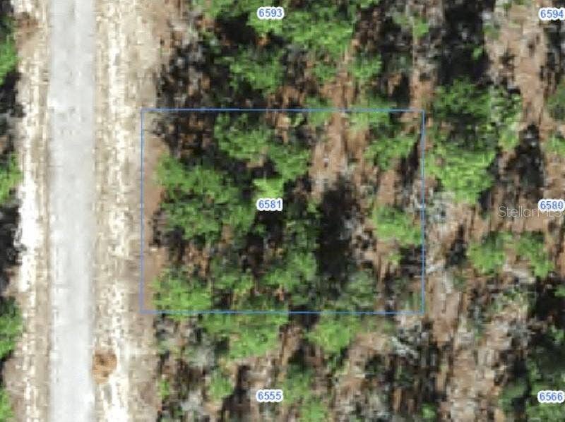 Property photo for 6581 N WINLOCK TERRACE, Citrus Springs, FL