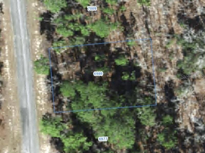 Property photo for 6989 N FOXDALE DRIVE, Citrus Springs, FL