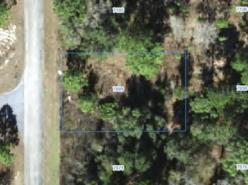 Property photo for 7089 N GALT POINT, Citrus Springs, FL
