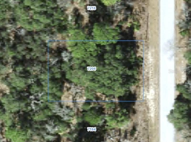 Property photo for 7204 N RIPLEY DRIVE, Citrus Springs, FL