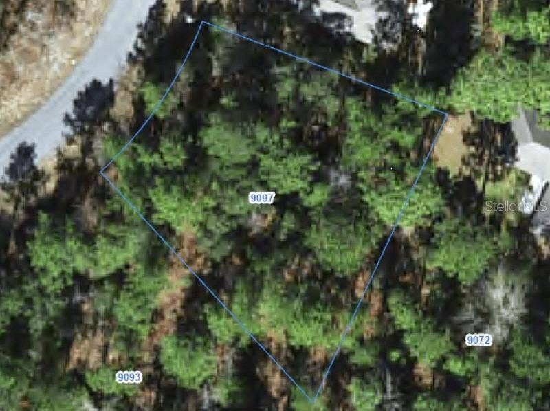 Property photo for 9097 N SAPONARIA DRIVE, Citrus Springs, FL