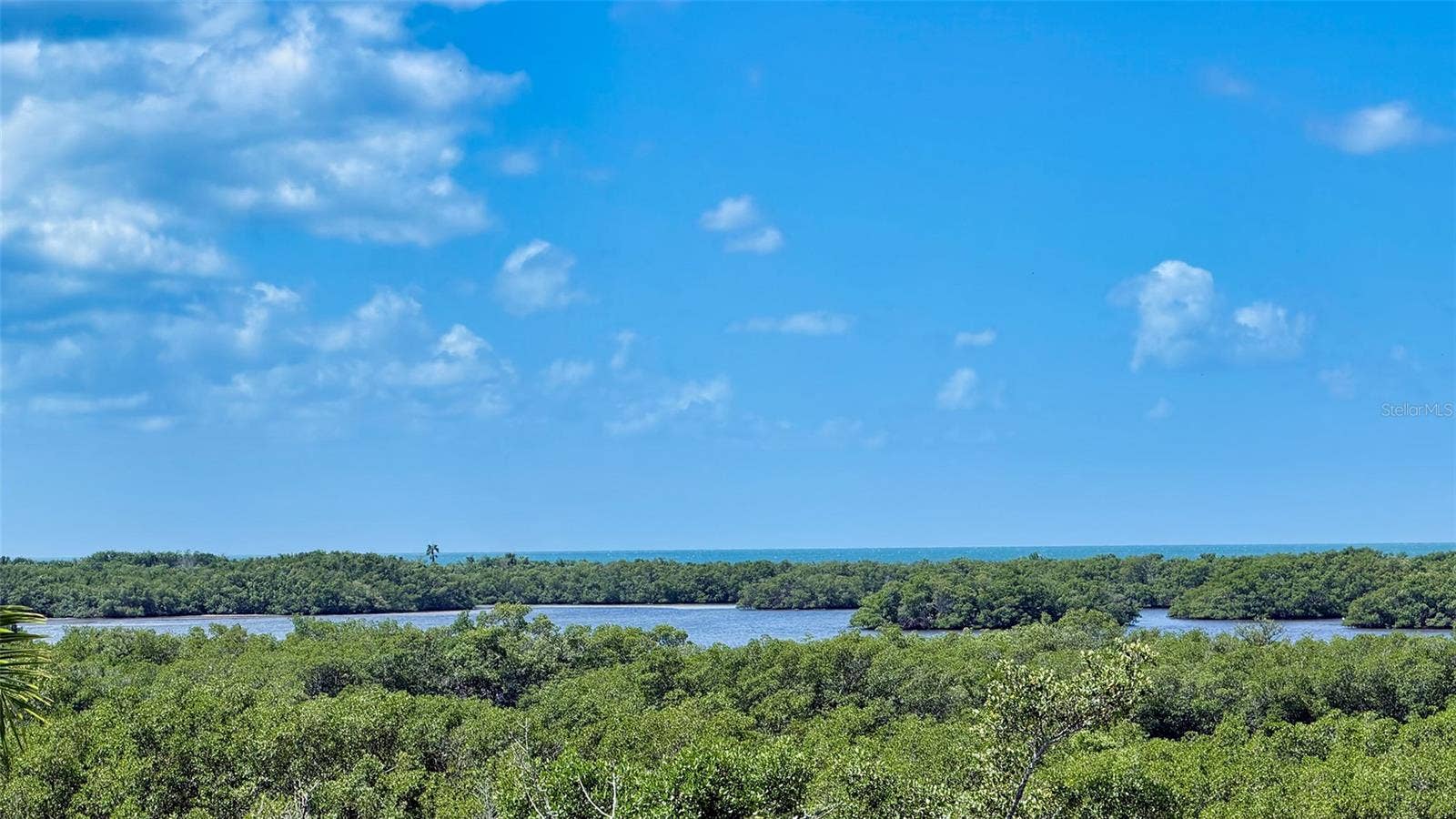 168 COASTAL HAMMOCK COURT, Osprey, FL 34229 Elevated views extend across the lush coastal landscape toward the waters of Little Sarasota Bay.