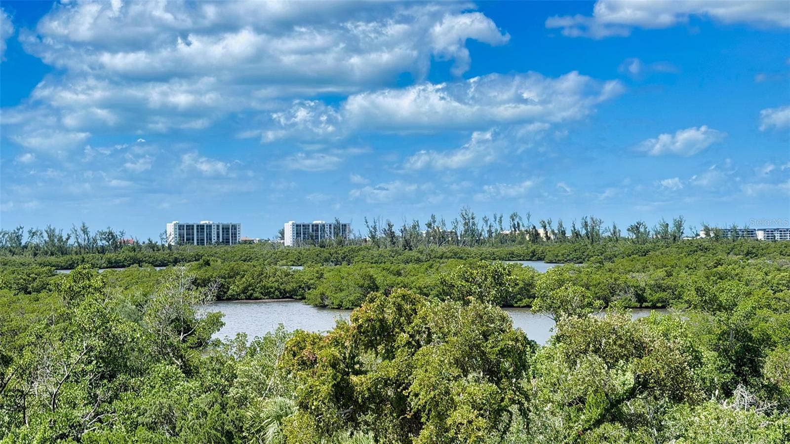 168 COASTAL HAMMOCK COURT, Osprey, FL 34229 The rooftop vantage point captures the remarkable natural beauty surrounding this unique residence.